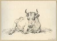 X+ 005
<br/>
Liggende koe
<br/>
<em>Bernard, Jean (Jan) (1765-1833)</em>